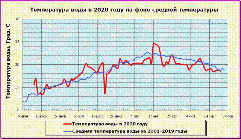 Температура воды в районе о. Рикорда в 2019 году на фоне средней температуры за прошедшие годы.